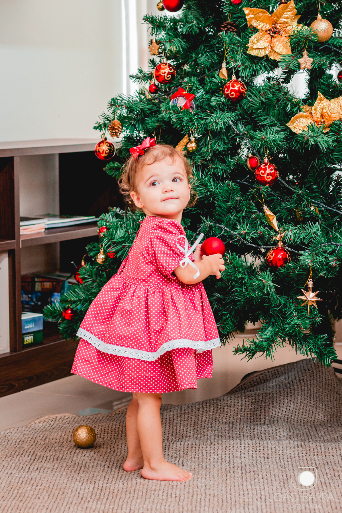 ensaio fotográfico e fotos de família em casa de natal com árvore de natal fotos de criança natal natalina