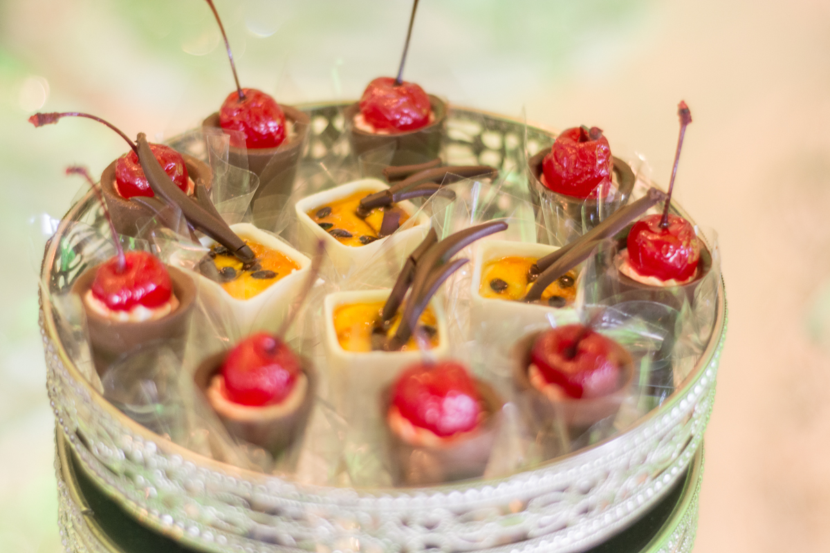 casamento Camila e bruno catalão go