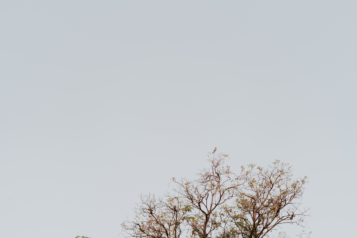 Fotografía de bodas. Fotógrafo de bodas. Boda en Castillo de Remanso, Paraguay.
David Alvarado Fotografía