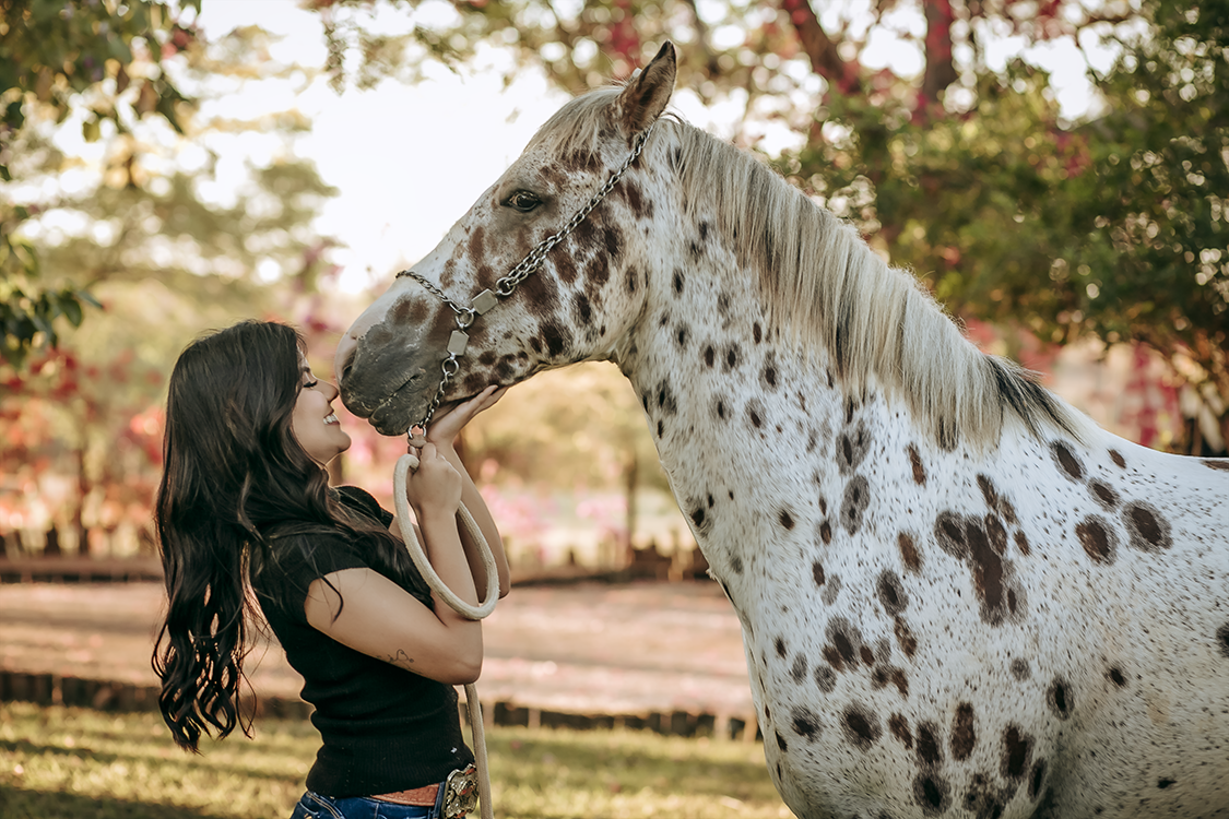 Formatura Medicina Veterinária