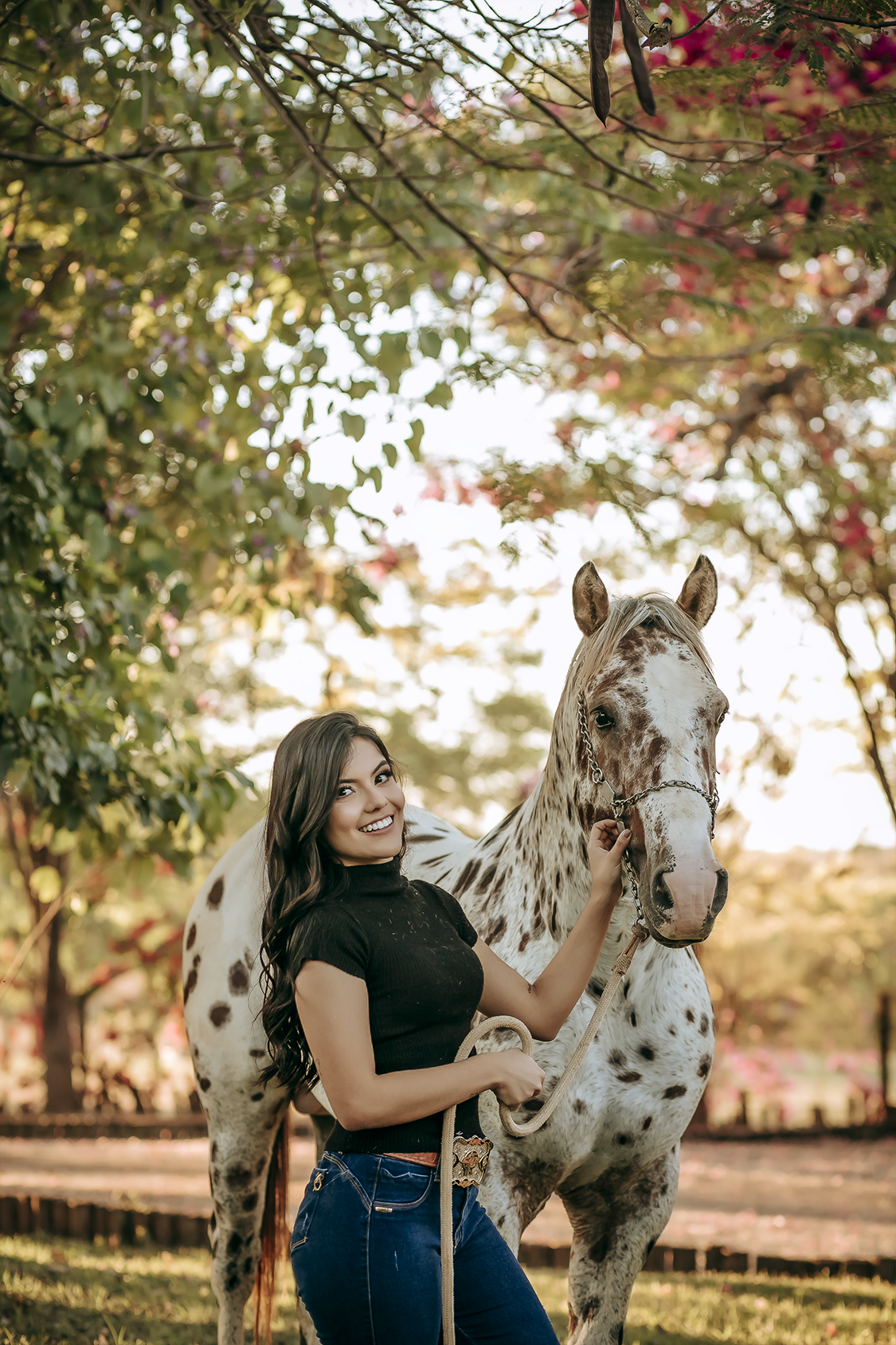 Formatura Medicina Veterinária
