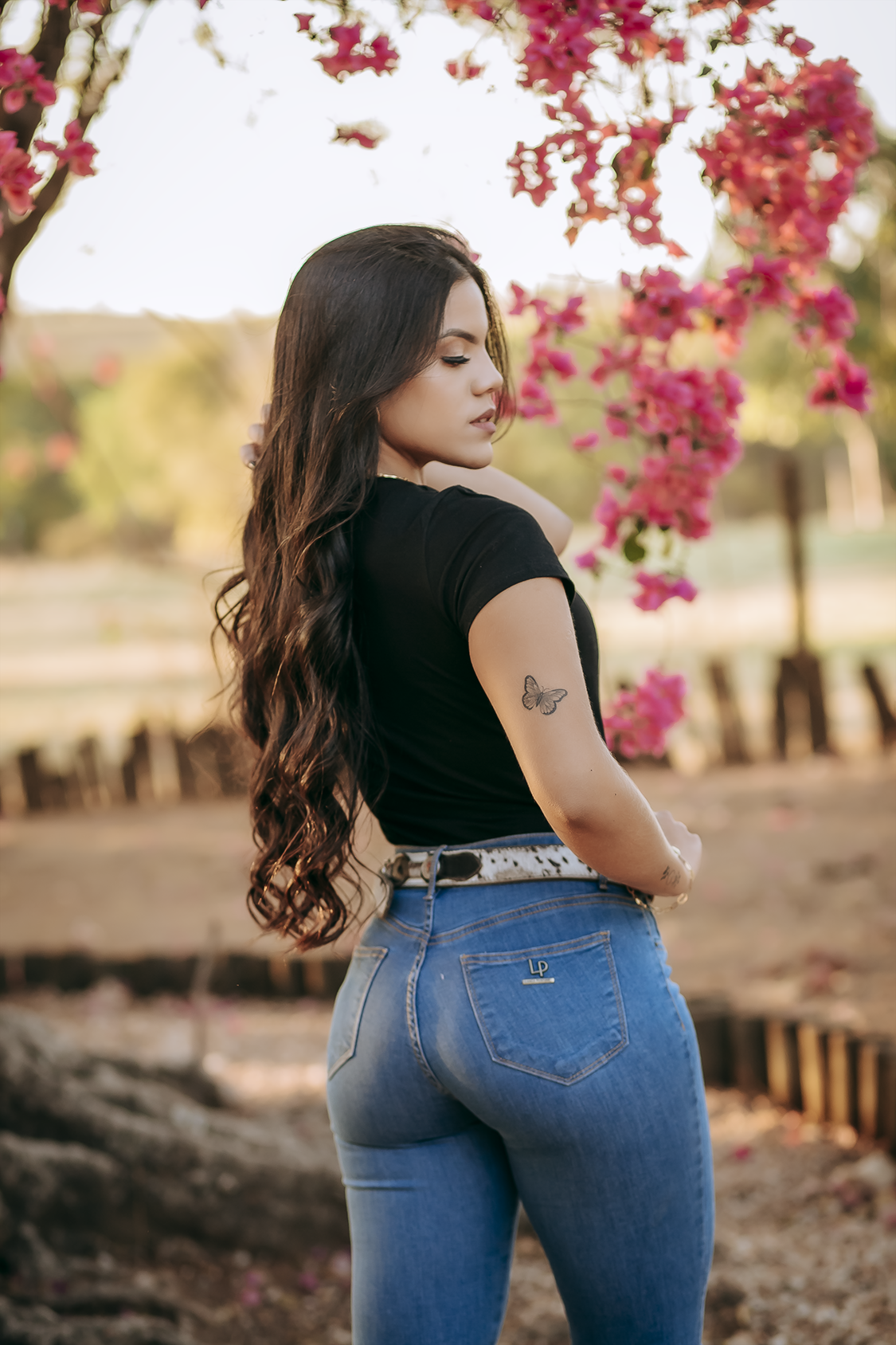 Formatura Medicina Veterinária