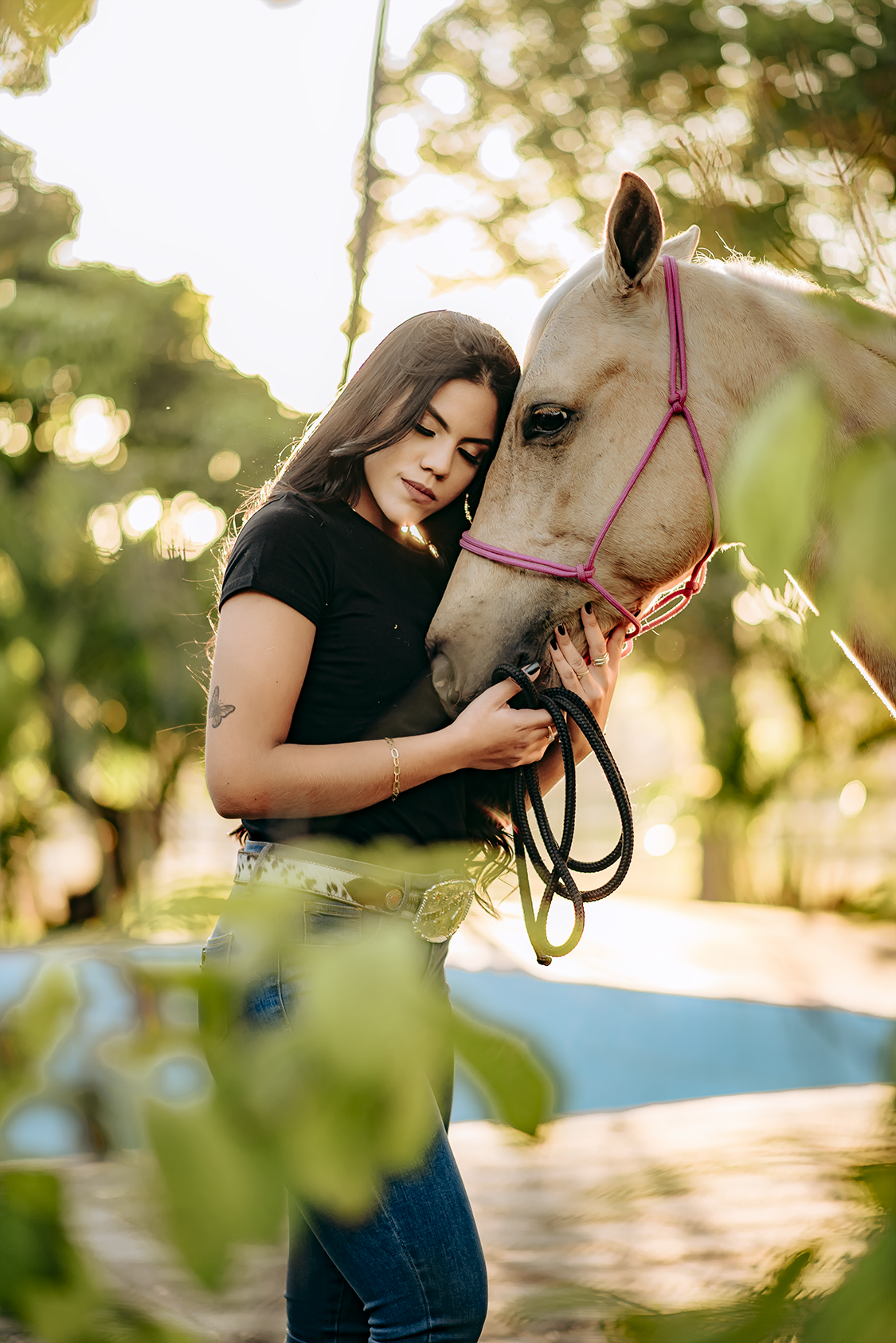 Formatura Medicina Veterinaria
