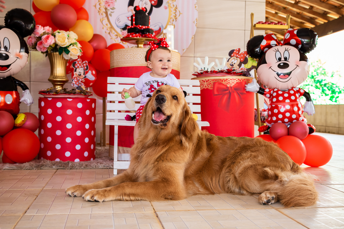 aniversario infantil pet