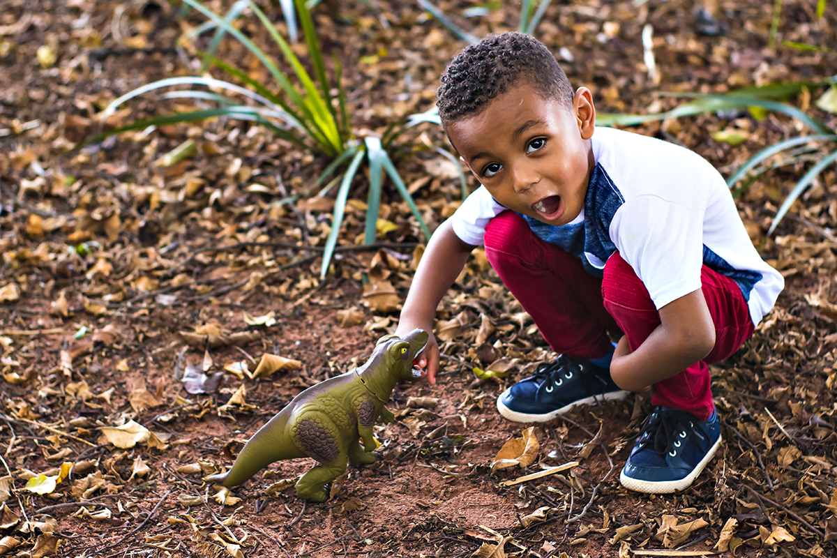 Cuidado com o dinossauro Araraquara