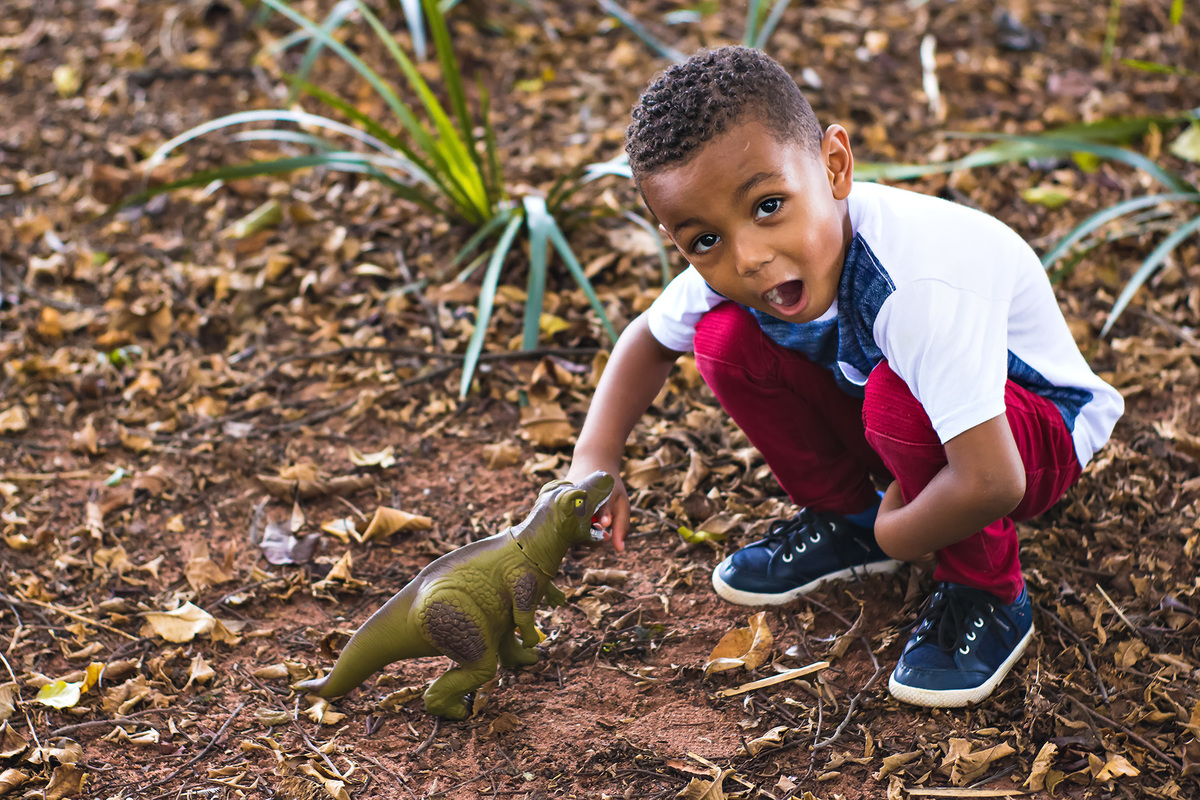 ensaio infantil, book infantil, ensaio Araraquara, book Araraquara, criança no balanço Araraquara, fotografia infantil, ensaio com dinossauro, ensaio fotográfico no parque