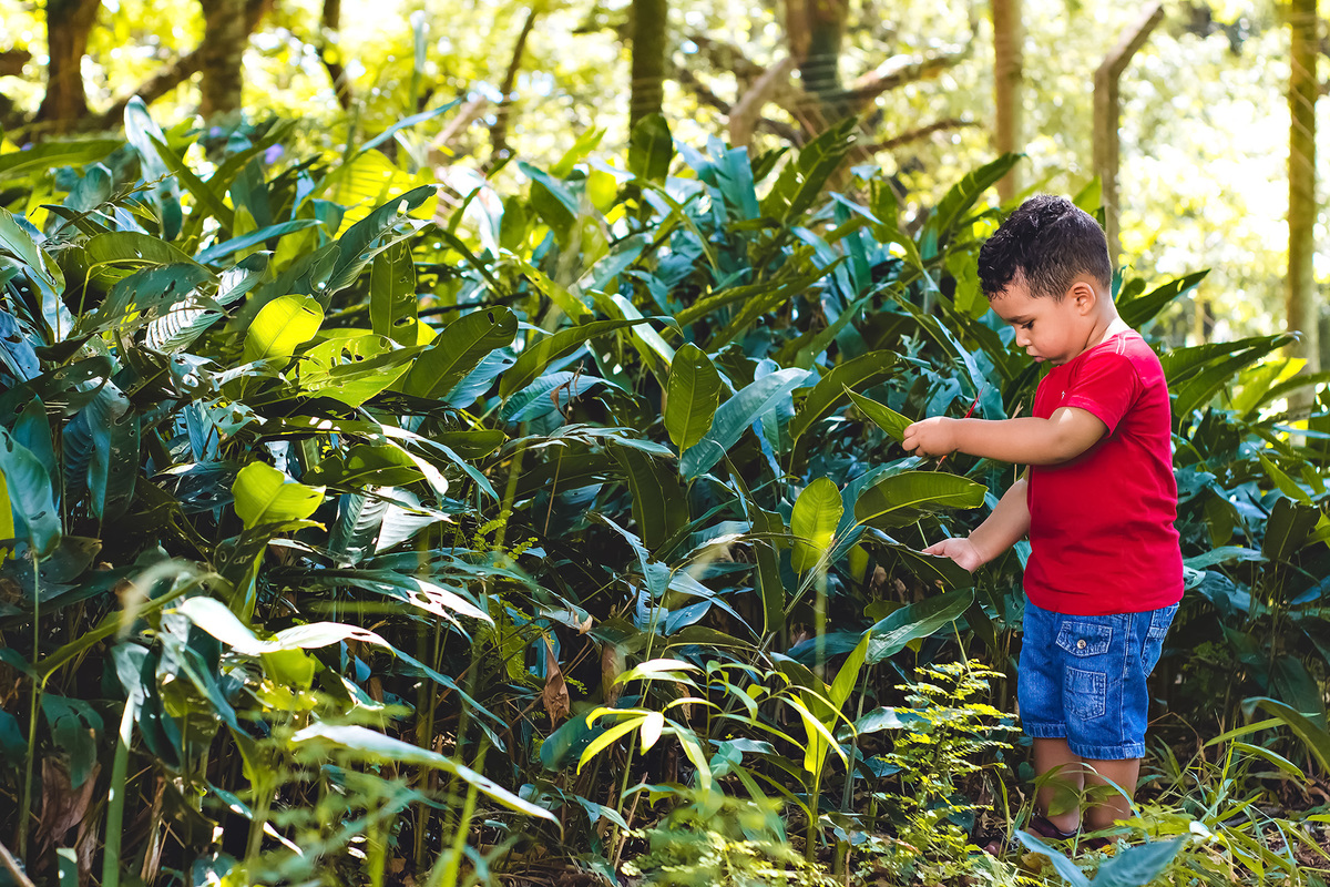 Araraquara, book Araraquara, criança no balanço Araraquara, fotografia infantil, ensaio com  crianças, ensaio fotográfico no parque, book fotográfico infantil