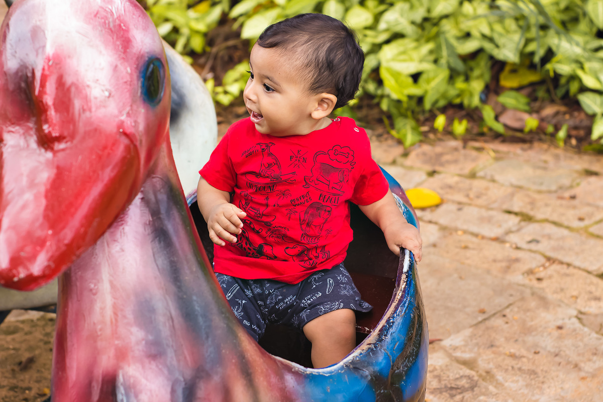 Araraquara, book Araraquara, fotografia de crianças em Araraquara, fotografia infantil, ensaio com  crianças, ensaio fotográfico no parque, book fotográfico infantil