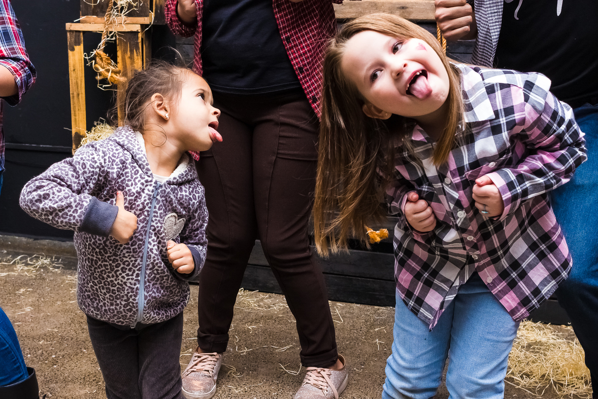 festa country, country Araraquara, festa country Araraquara, One country, festa igreja, festa igreja Araraquara, One country Araraquara, igreja, igreja Araraquara, festa prisão, festa prisão country, festa arraia, festa arraia Araraquara,Arraia Araraquara