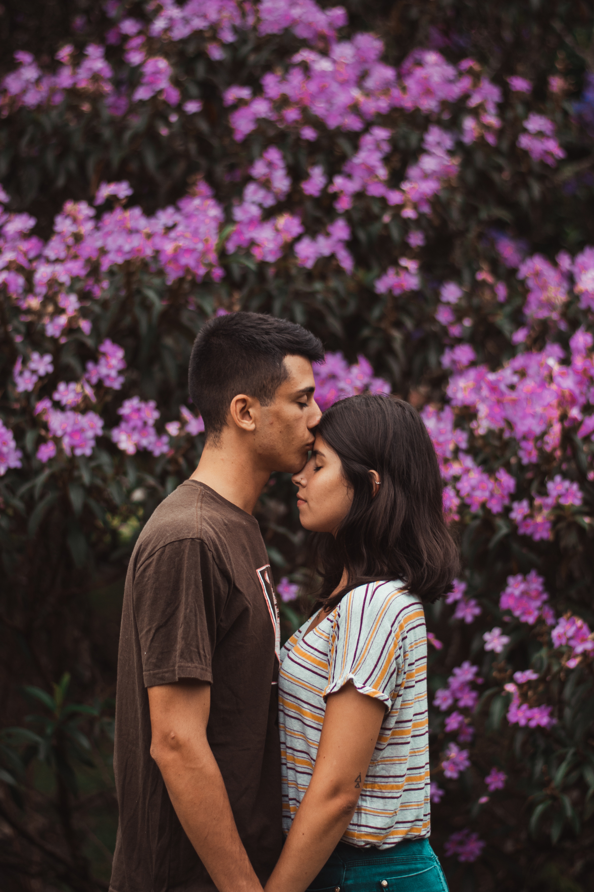 casal beijando na testa, fundo de flores rosa atrás do casal durante ensaio no parque de france em joinville, fotógrafo barato