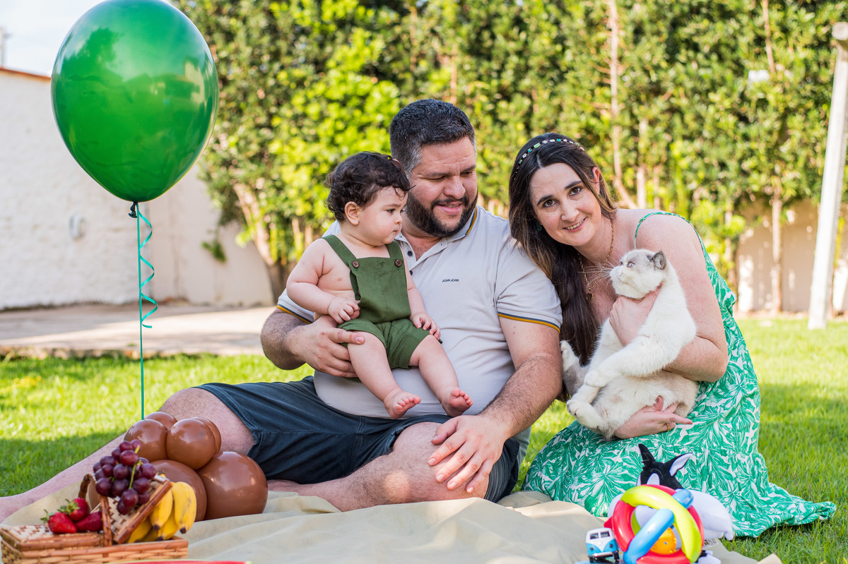 ensaio externo de familia com gato e bebe em jaragua do sul