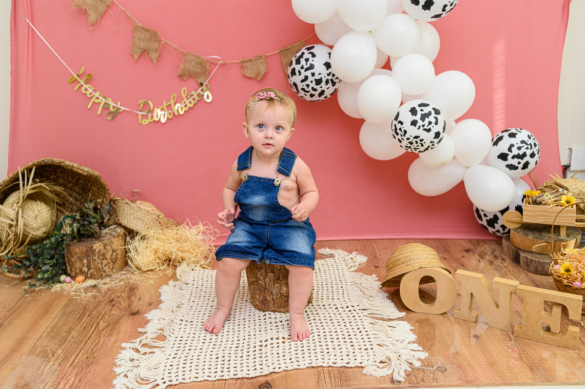 fazendinha da valentinha fazendeira de jardineira