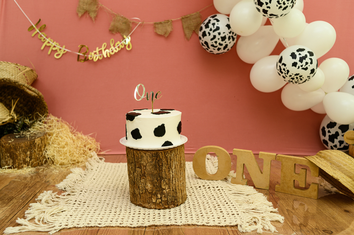 cenario smash the cake fazendinha menina