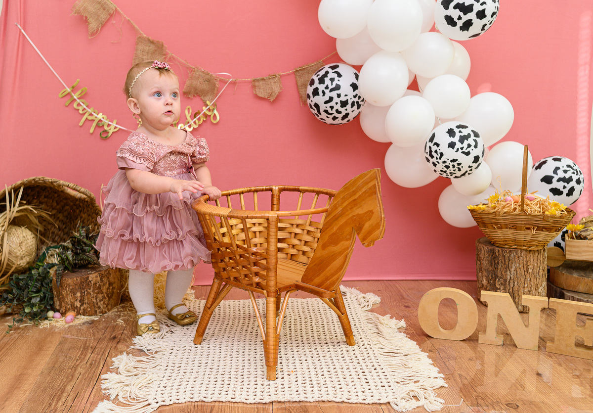 valentina no seu ensaio de 1 aninho tema fazendinha