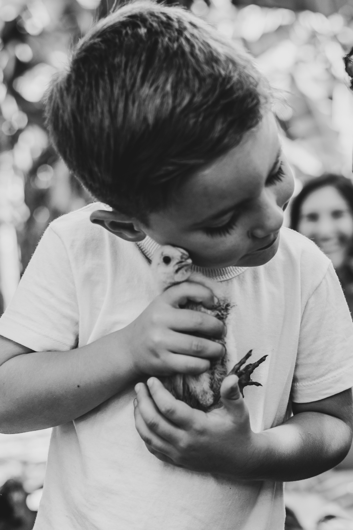 criança em meio natureza menino e pintinho