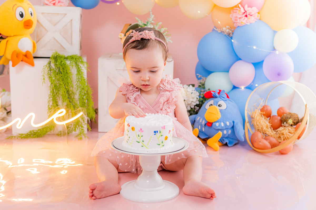 ensaio de um aninho galinha pintadinha