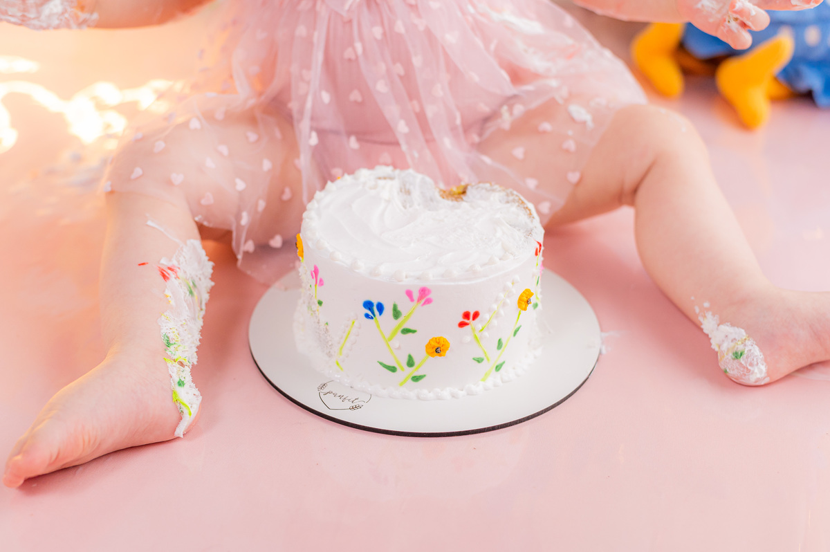 bagunça gostosa de 1 aninho ensaio com bolo