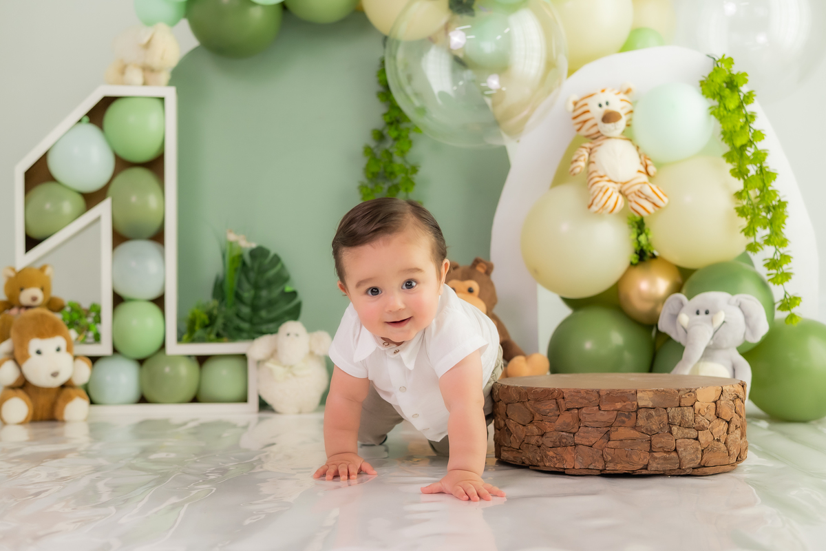 Theo todo lindo na sessão de 1 aninho