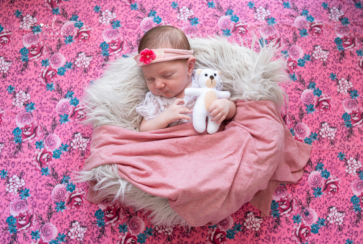 fotografia newborn em Guaramirim  recem nascido fotografia infantil fotografia de recem nascido fotografa de guaramirim fotografa de Jaraguá do Sul newborn domiciliar newborn na casa do cliente fotografia em casa