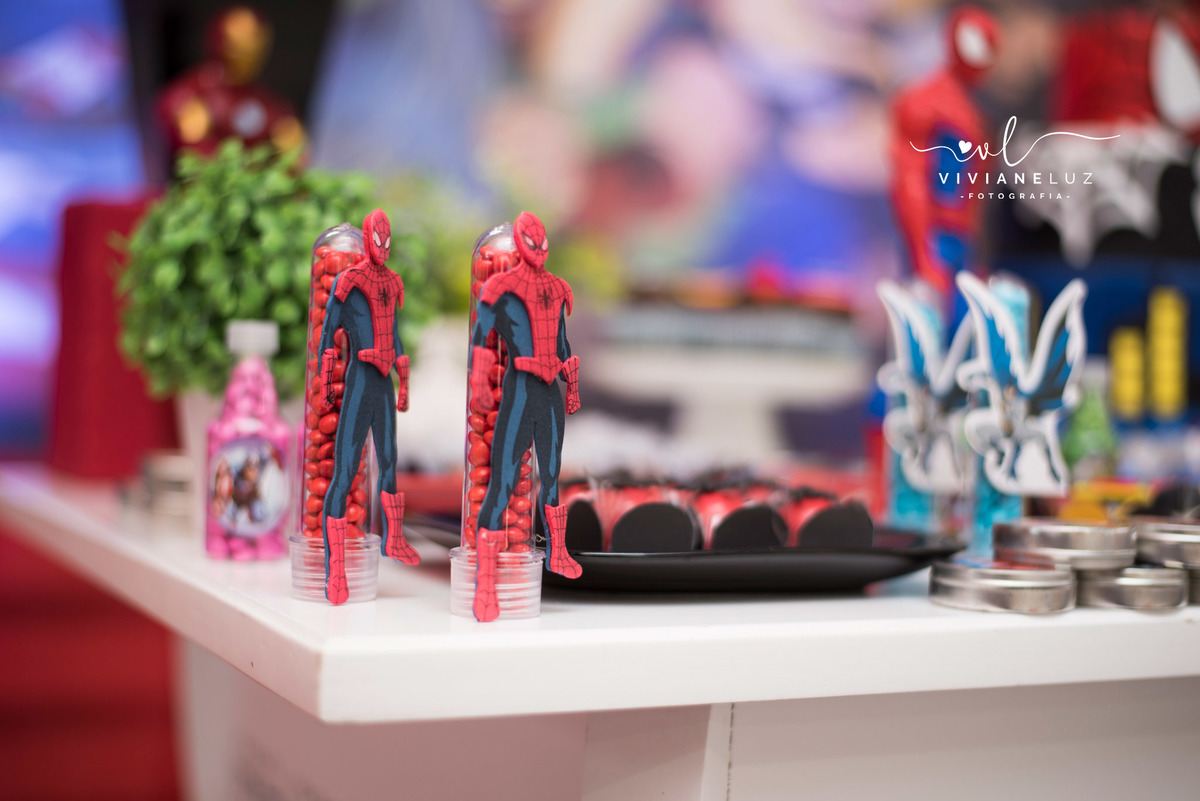 festa infantil decoração fotografa de aniversario fotografia de aniversario lembrancinha Guaramirim Jaraguá do Sul