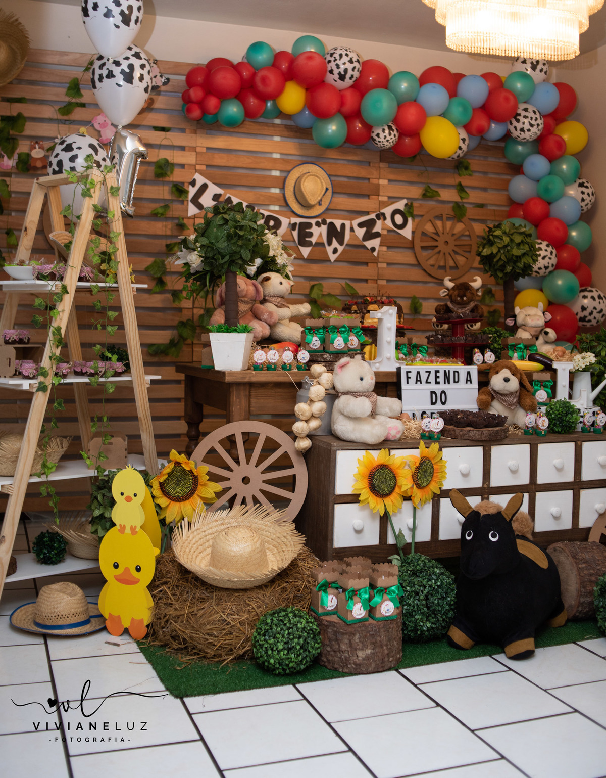 festa infantil fazendinha 1 aninho decoração fazendinha fotografa de aniversario fotografia de aniversario lembrancinha Guaramirim Jaraguá do Sul