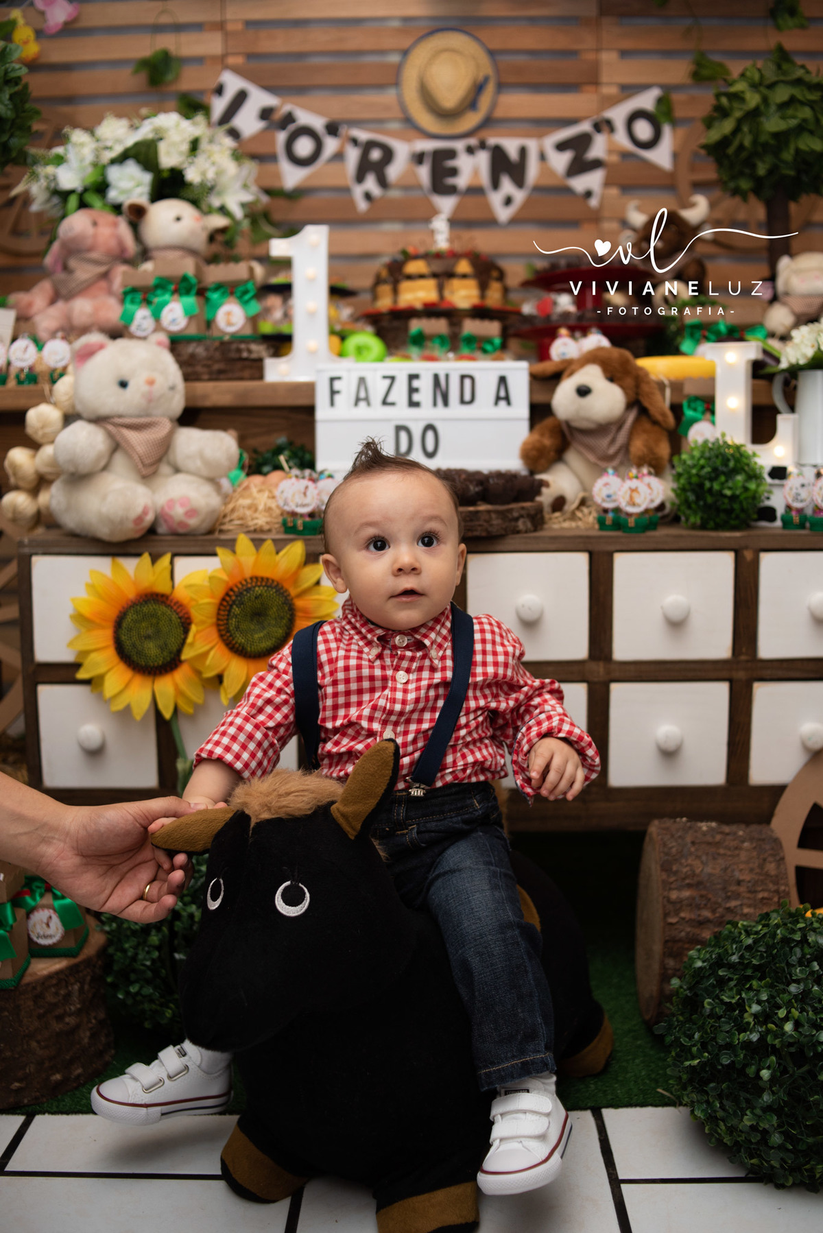 festa infantil fazendinha 1 aninho decoração fazendinha fotografa de aniversario fotografia de aniversario lembrancinha Guaramirim Jaraguá do Sul