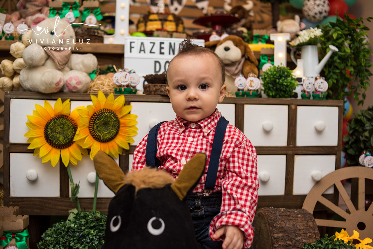 festa infantil fazendinha 1 aninho decoração fazendinha fotografa de aniversario fotografia de aniversario lembrancinha Guaramirim Jaraguá do Sul