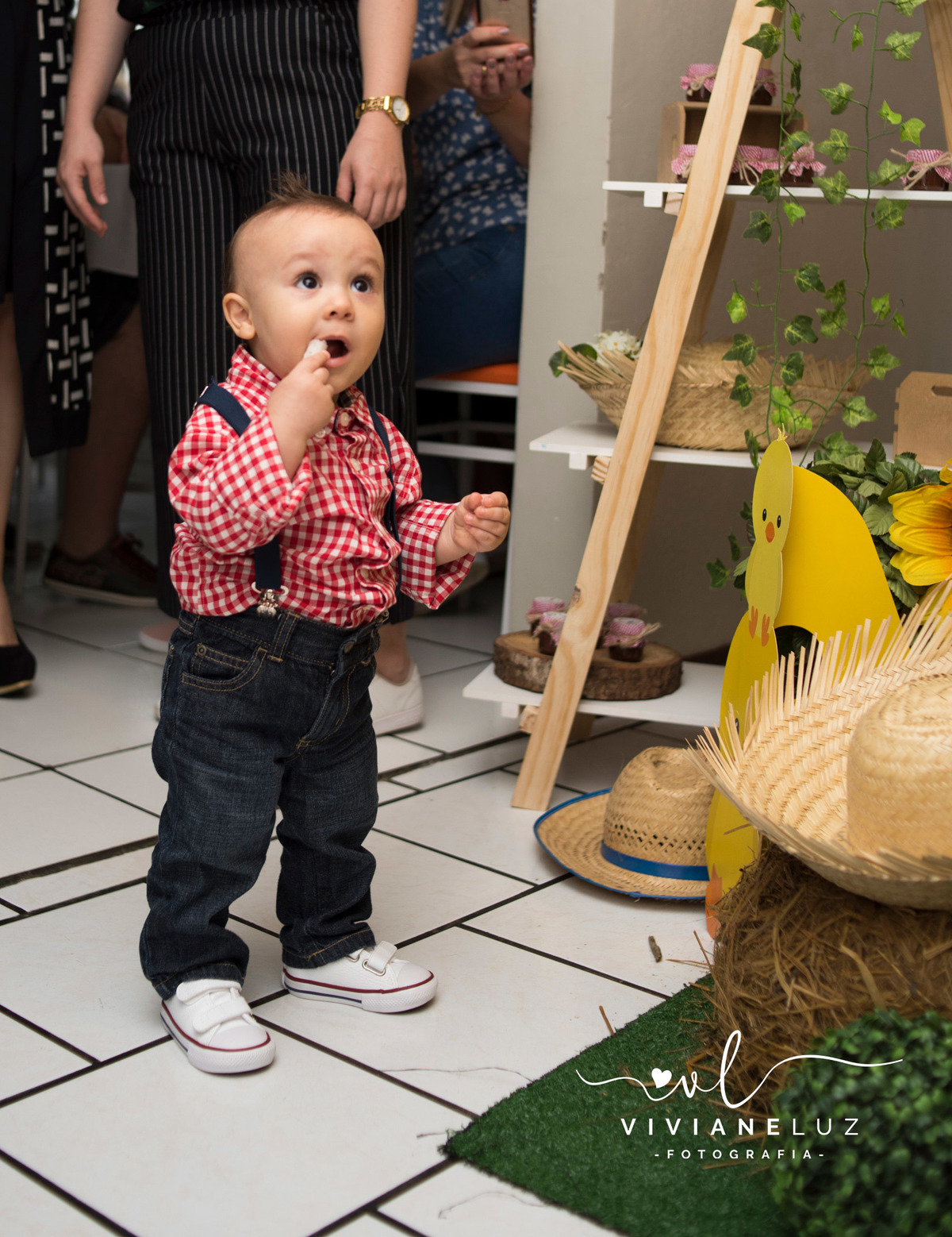 festa infantil fazendinha 1 aninho decoração fazendinha fotografa de aniversario fotografia de aniversario lembrancinha Guaramirim Jaraguá do Sul