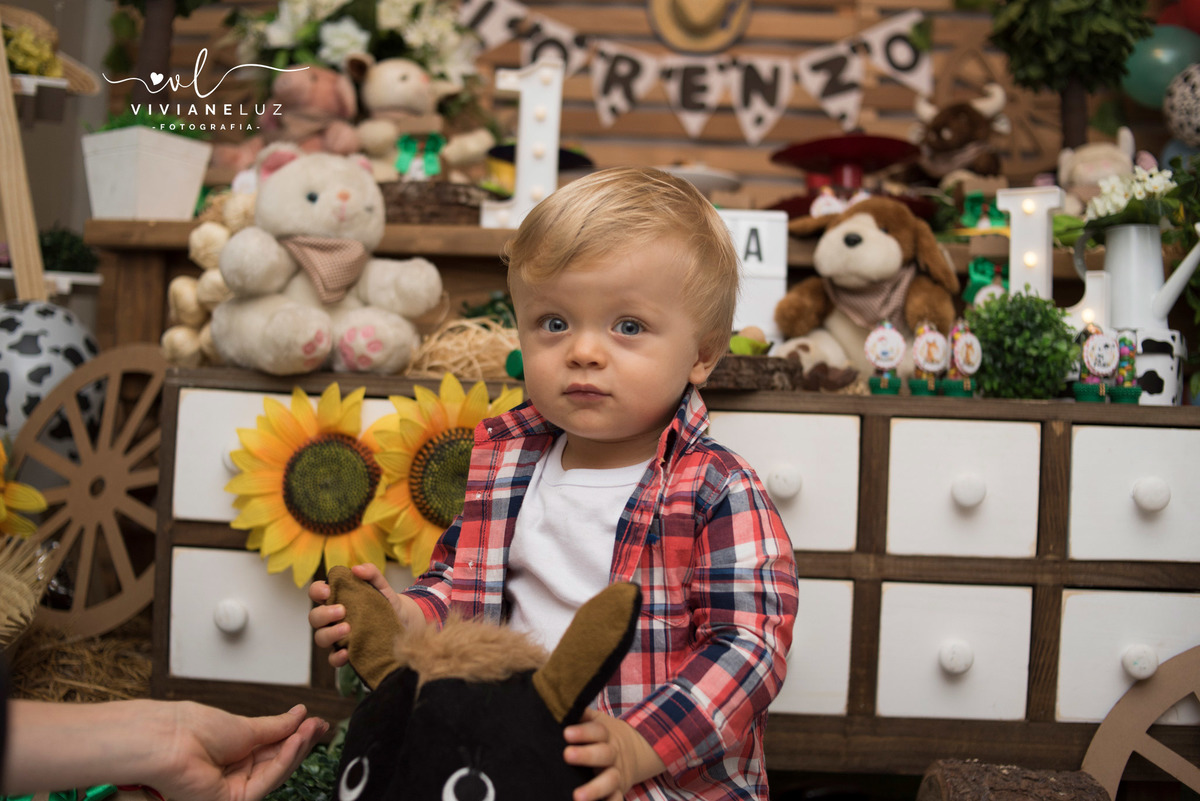 festa infantil fazendinha 1 aninho decoração fazendinha fotografa de aniversario fotografia de aniversario lembrancinha Guaramirim Jaraguá do Sul