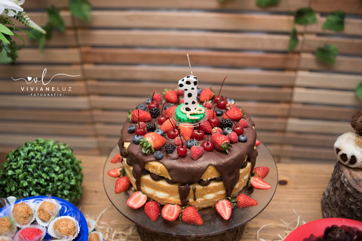 festa infantil fazendinha 1 aninho decoração fazendinha fotografa de aniversario fotografia de aniversario lembrancinha Guaramirim Jaraguá do Sul