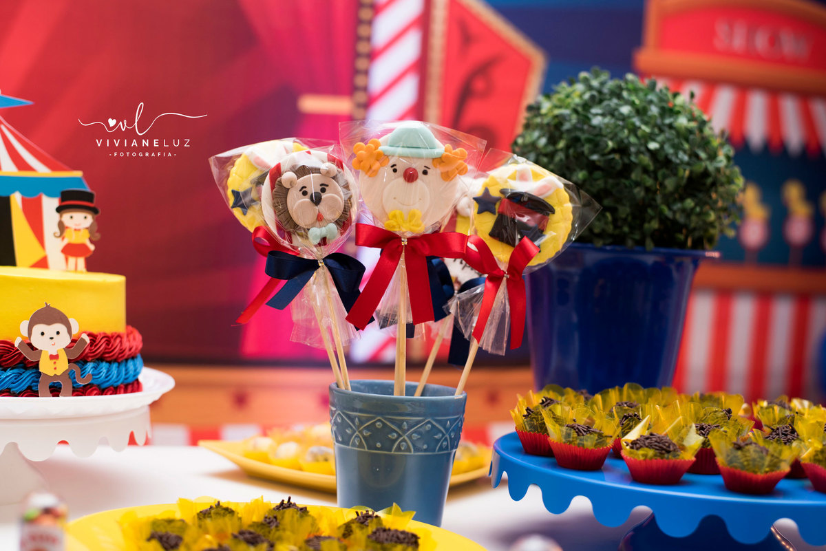 festa infantil circo decoração circo fotografa de aniversario fotografia de aniversario lembrancinha Guaramirim Jaraguá do Sul
