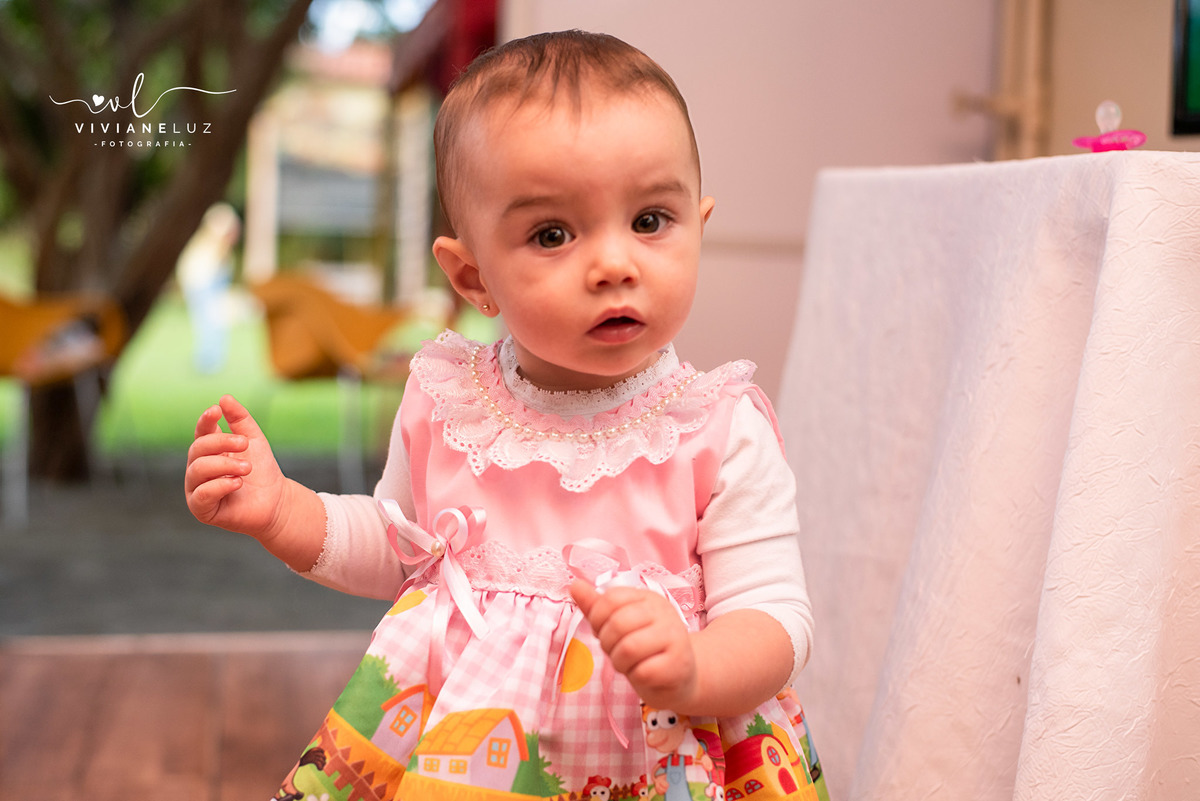festa infantil fazendinha 1 aninho decoração fazendinha fotografa de aniversario fotografia de aniversario lembrancinha Guaramirim Jaraguá do Sul