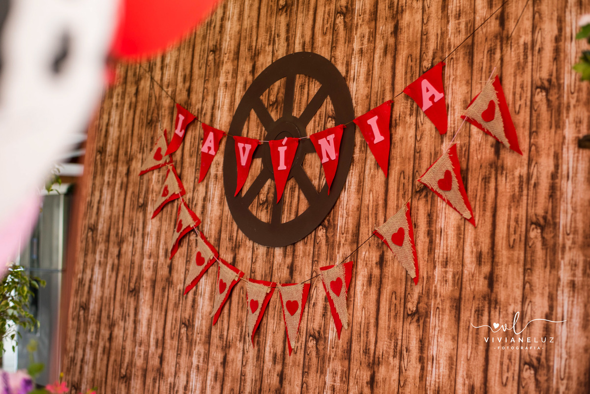 festa infantil fazendinha 1 aninho decoração fazendinha fotografa de aniversario fotografia de aniversario lembrancinha Guaramirim Jaraguá do Sul