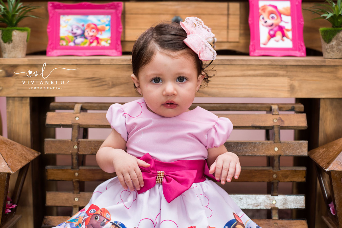 festa infantil patrulha canina 1 aninho decoração patrulha canina fotografa de aniversario fotografia de aniversario lembrancinha Guaramirim Jaraguá do Sul