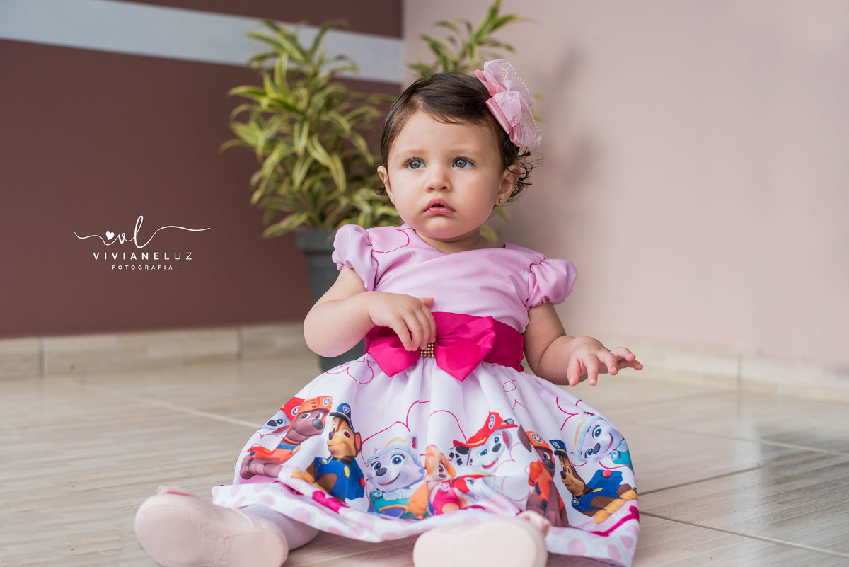 festa infantil patrulha canina 1 aninho decoração patrulha canina fotografa de aniversario fotografia de aniversario lembrancinha Guaramirim Jaraguá do Sul