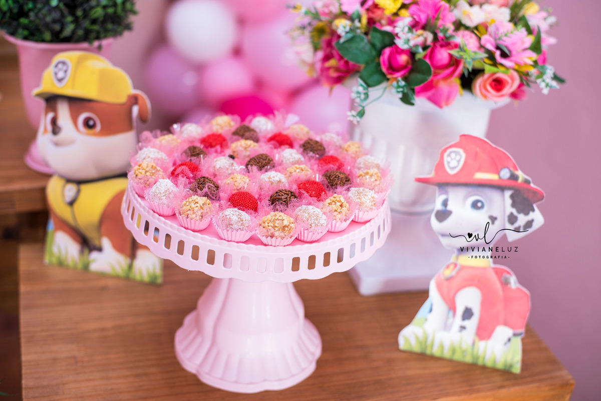 festa infantil patrulha canina 1 aninho decoração patrulha canina fotografa de aniversario fotografia de aniversario lembrancinha Guaramirim Jaraguá do Sul