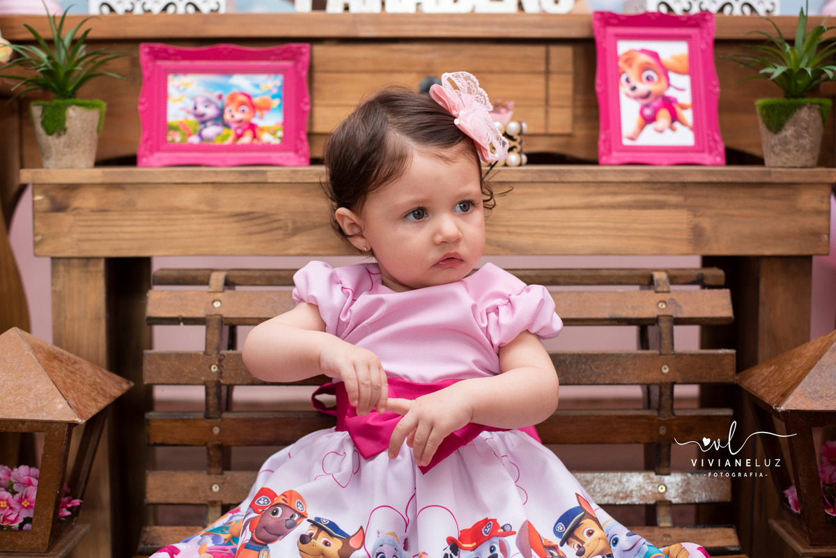 festa infantil patrulha canina 1 aninho decoração patrulha canina fotografa de aniversario fotografia de aniversario lembrancinha Guaramirim Jaraguá do Sul