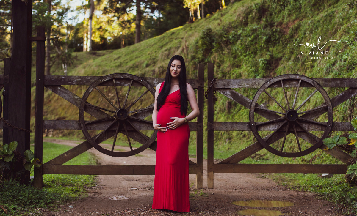 gestante fotografa de guaramirim familia pets ensaio externo de gestante natureza campo mae de menino mae de menina bebe arco iris vestido arco iris vestido gestante