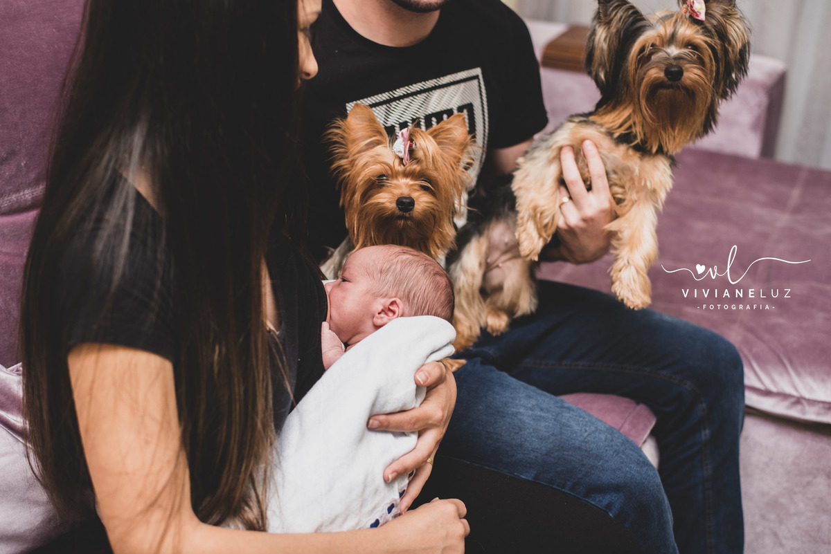 fotografia newborn em Guaramirim  recem nascido fotografia infantil fotografia de recem nascido fotografa de guaramirim fotografa de Jaraguá do Sul newborn domiciliar newborn na casa do cliente fotografia em casa