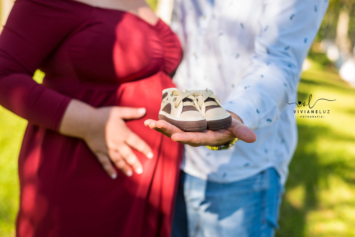 gestante fotografa de guaramirim familia pets ensaio externo de gestante natureza campo mae de menino mae de menina bebe arco iris vestido arco iris