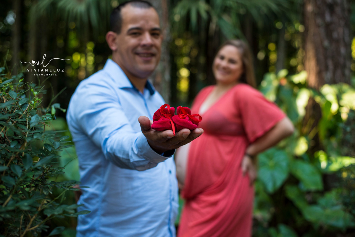 gestantes pregnant fotografia de gestante fotografa de guaramirim familia pets ensaio externo de gestante natureza campo mae de menino mae de menina