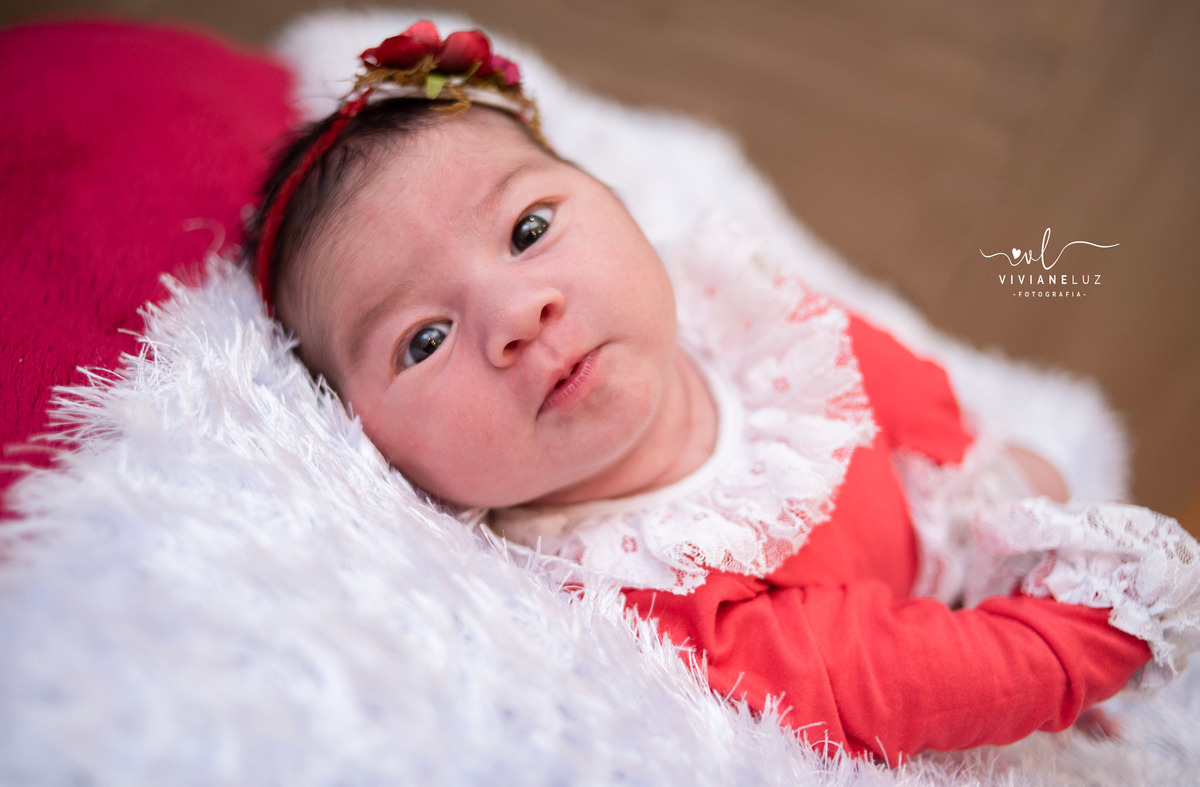 fotografia newborn em Guaramirim  recem nascido fotografia infantil fotografia de recem nascido fotografa de guaramirim fotografa de Jaraguá do Sul newborn domiciliar newborn na casa do cliente fotografia em casa