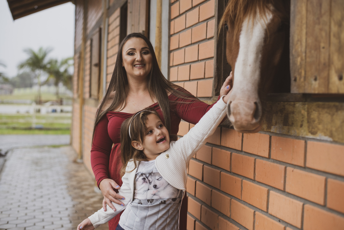 gestantes pregnant fotografia de gestante fotografa de guaramirim familia pets ensaio externo de gestante natureza campo mae de menino mae de menina