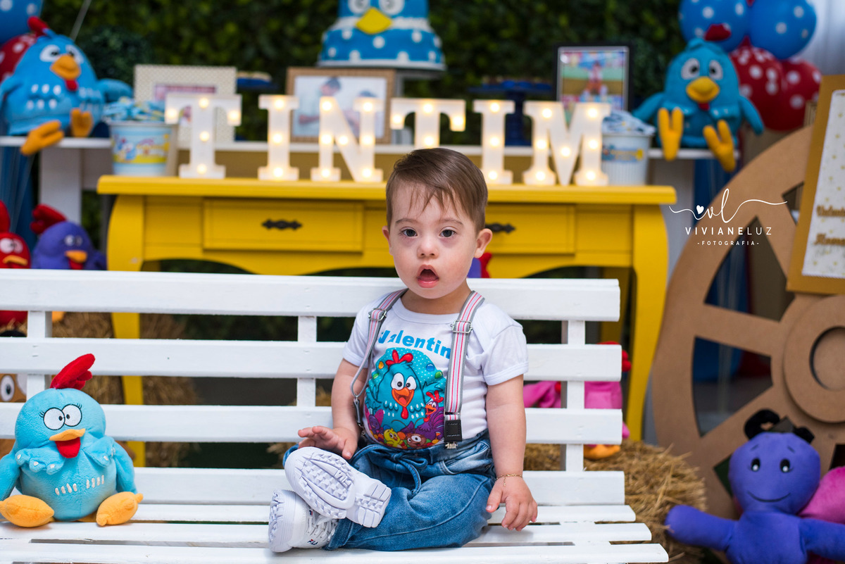 festa infantil galinha pintadinha 1 aninho decoração galinha pintadinha fotografa de aniversario fotografia de aniversario Guaramirim Jaraguá do Sul