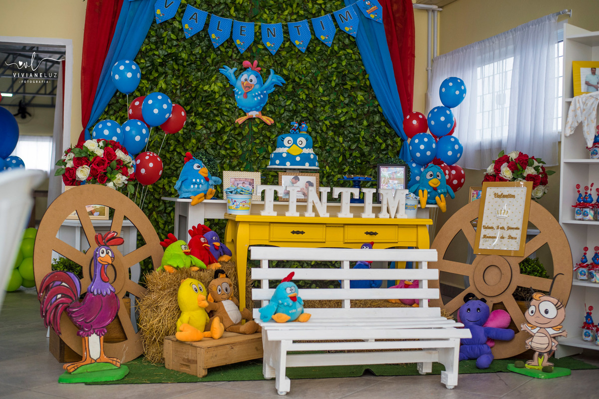 festa infantil galinha pintadinha 1 aninho decoração galinha pintadinha fotografa de aniversario fotografia de aniversario Guaramirim Jaraguá do Sul