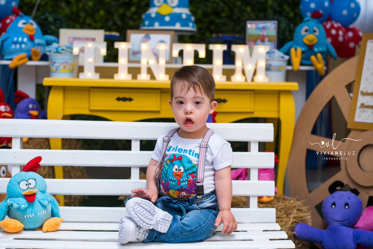 festa infantil galinha pintadinha 1 aninho decoração galinha pintadinha fotografa de aniversario fotografia de aniversario lembrancinha Guaramirim Jaraguá do Sul