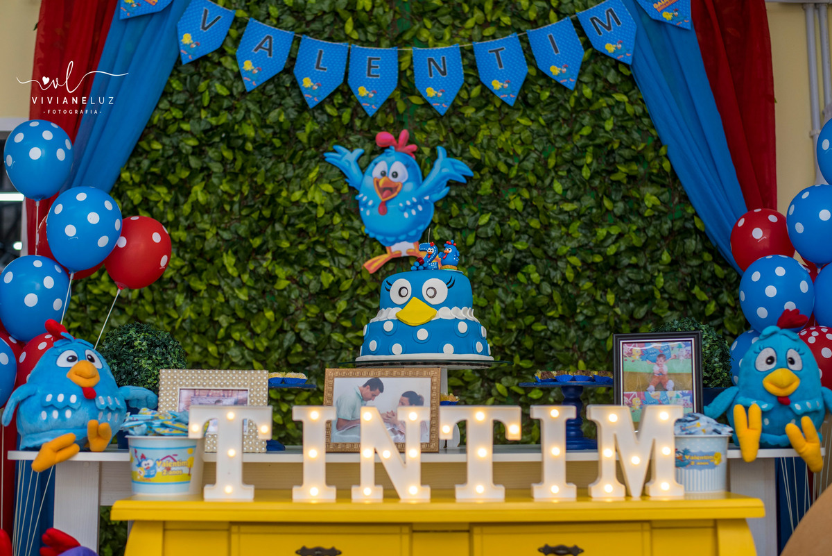 festa infantil galinha pintadinha 1 aninho decoração galinha pintadinha fotografa de aniversario fotografia de aniversario Guaramirim Jaraguá do Sul
