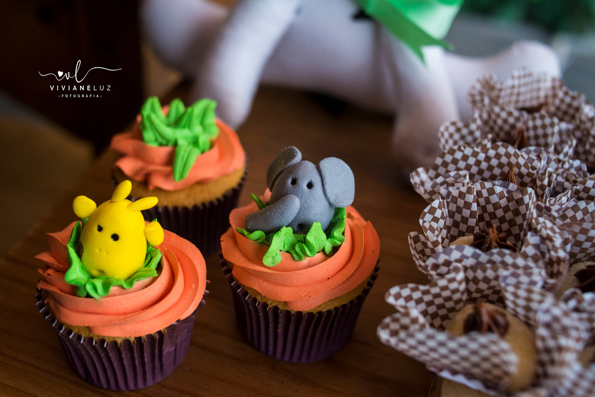 festa infantil safari 1 aninho decoração safari fotografa de aniversario fotografia de aniversario Guaramirim Jaraguá do Sul