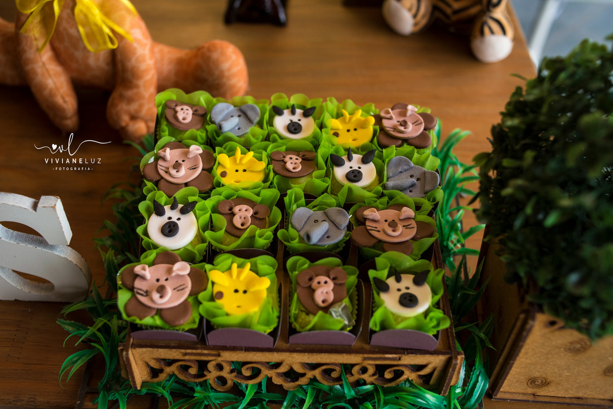 festa infantil safari 1 aninho decoração safari fotografa de aniversario fotografia de aniversario Guaramirim Jaraguá do Sul