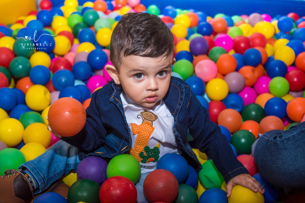 festa infantil safari 1 aninho decoração safari fotografa de aniversario fotografia de aniversario Guaramirim Jaraguá do Sul